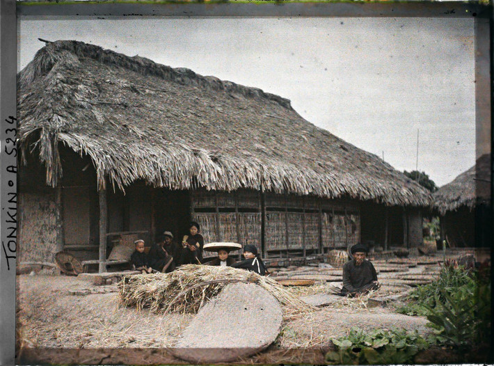 Người dân phơi lúa trong sân sau khi thu hoạch.