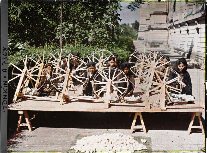 Những người phụ nữ hành nghề quay bông gạo.
