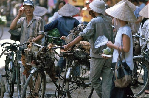 Gà được bán ở chợ cóc đầu đường.