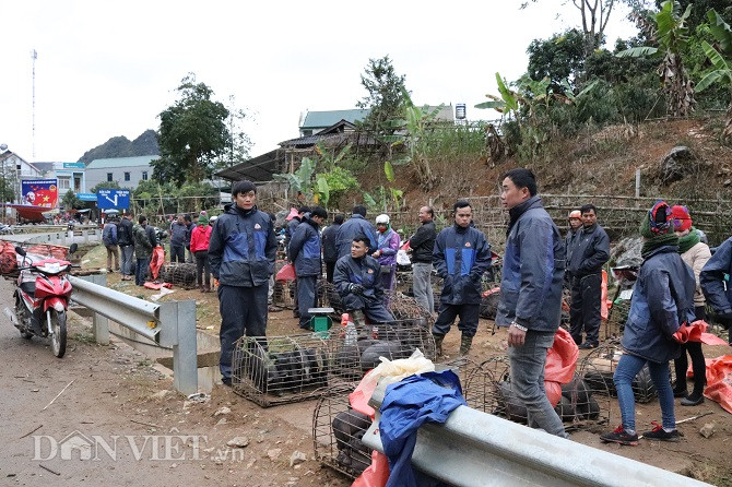Mặc dù, thời tiết ở ngoài trời vào những ngày này lạnh buốt đến tê cóng chân tay nhưng không khí tại chợ nơi đây vẫn đông vui, tấp nập.
