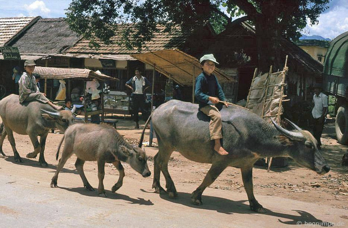 Trên đường đến chợ Điện Biên Phủ. Ảnh: Hpgrumpe.de.
