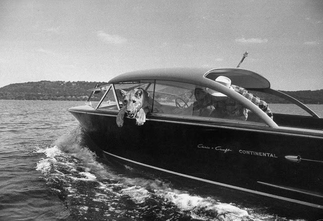 Blondie ngắm nhìn phong cảnh hồ Possum Kingdom khi đi chơi trên chiếc thuyền thể thao hiệu Chris Craft Continental cùng ông Charles Hipp. Ảnh: Life.