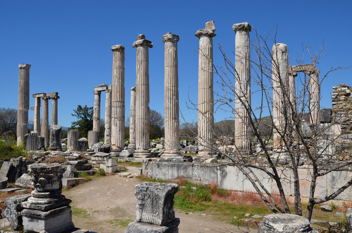 Kết quả khai quật cho thấy, Aphrodisias là một thành phố quy củ với hệ thống đường xá kết nối các khu dân cư và công trình công cộng. Công trình nằm ở vị trí trung tâm di tích là đền thờ thần Aphrodite, đã bị hủy hoại nặng nề theo thời gian. Ảnh: Wikipedia.