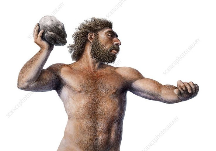 Thân hình chắc khỏe: Người Neanderthal có thân hình mạnh mẽ và vạm vỡ, với xương khung lớn và cơ bắp phát triển. Điều này giúp họ thích nghi tốt với khí hậu lạnh của châu Âu trong thời kỳ băng hà. Ảnh: Pinterest.