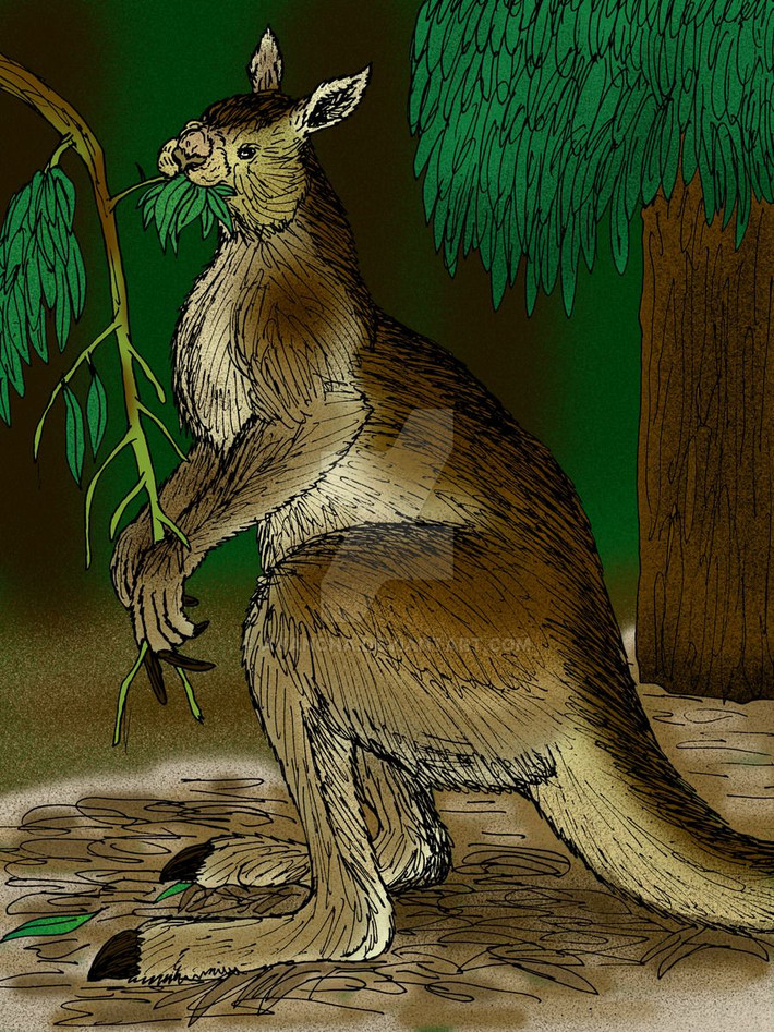 12. Kangaroo lùn (Procoptodon goliah). Nơi sống: Úc. Tuyệt chủng: Khoảng 15.000 năm trước. Nguyên nhân: Loài kangaroo khổng lồ này bị con người tiền sử săn bắt để làm thực phẩm, và kết hợp với sự thay đổi khí hậu đã dẫn đến tuyệt chủng. Ảnh: Pinterest.