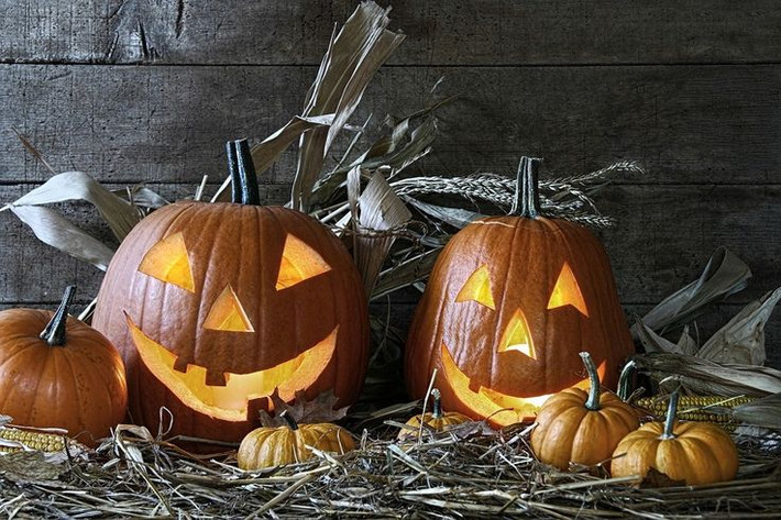 3. Hình tượng bí ngô. Bí ngô đã trở thành biểu tượng chính của Halloween nhờ truyền thuyết về "Jack O'Lantern". Theo truyền thuyết, Jack là một người đàn ông gian lận đã bị đuổi khỏi thiên đàng và địa ngục, và phải lang thang với một quả bí ngô có ngọn lửa bên trong. Ảnh: Pinterest.