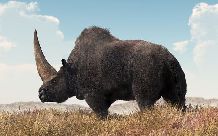 10. Tê giác Siberia (Elasmotherium). Đây là loài tê giác khổng lồ, dài khoảng 4,5-5 mét và nặng khoảng 4-5 tấn. Với chiếc sừng lớn trên trán, chúng được mệnh danh là những con "kỳ lân" thời tiền sử. Sừng của chúng có thể dài hơn 1,5 mét. Ảnh: Pinterest.