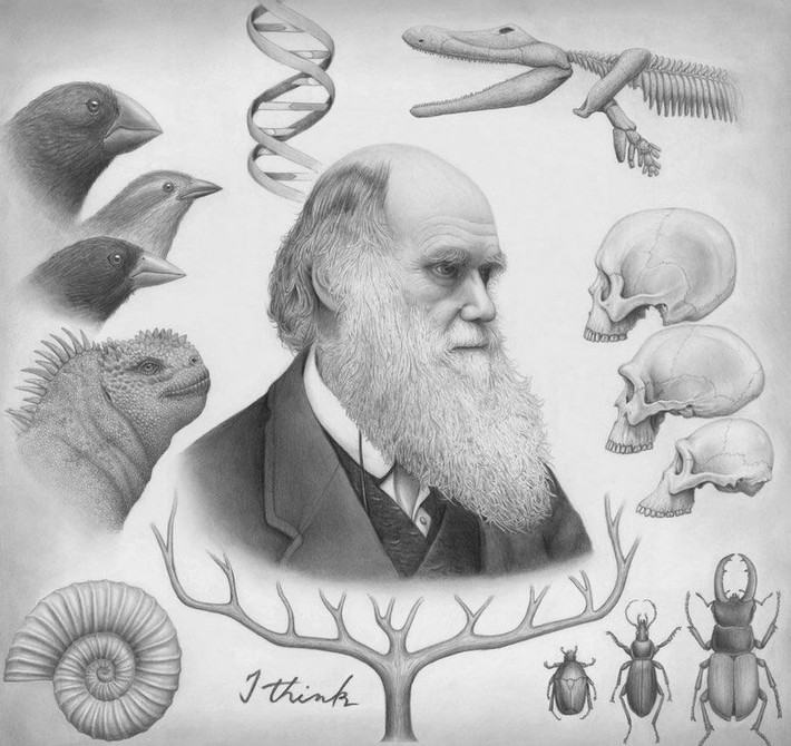 Darwin từng nghĩ về nghề bác sĩ. Ban đầu, ông theo học ngành y, nhưng lại chuyển hướng sang khoa học tự nhiên vì không chịu được khi phải chứng kiến các ca phẫu thuật thời kỳ đó. Ảnh: Pinterest.