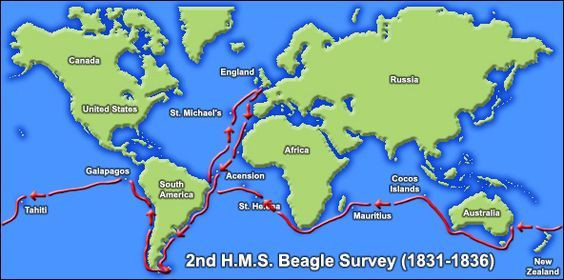 Chuyến hành trình của Darwin kéo dài 5 năm. Darwin đã đi vòng quanh thế giới trên con tàu HMS Beagle từ năm 1831 đến 1836, trong đó ông đã thu thập nhiều mẫu vật và ghi chép lại các quan sát quý giá. Ảnh: Pinterest.