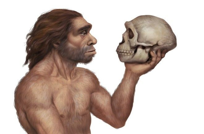 12. Homo longi. Thời gian sống: Khoảng 146.000 năm trước. Đặc điểm: Hóa thạch đầu người H. longi được phát hiện ở Trung Quốc, với đặc điểm kết hợp của người Neanderthal và H. sapiens, gây tranh cãi về vị trí trong chi Homo. Ảnh: Pinterest.