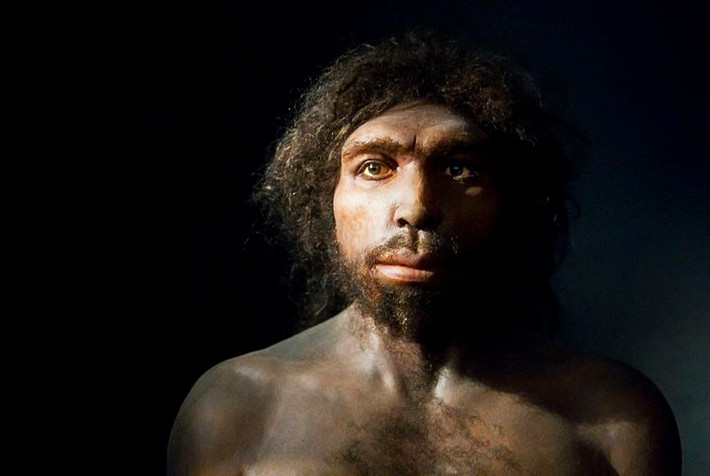 5. Homo antecessor. Thời gian sống: Khoảng 1,2 triệu - 800.000 năm trước. Đặc điểm: Được tìm thấy chủ yếu ở Tây Ban Nha, là một trong những loài Homo đầu tiên ở châu Âu. Hộp sọ có đặc điểm giống người hiện đại. Ảnh: Pinterest.
