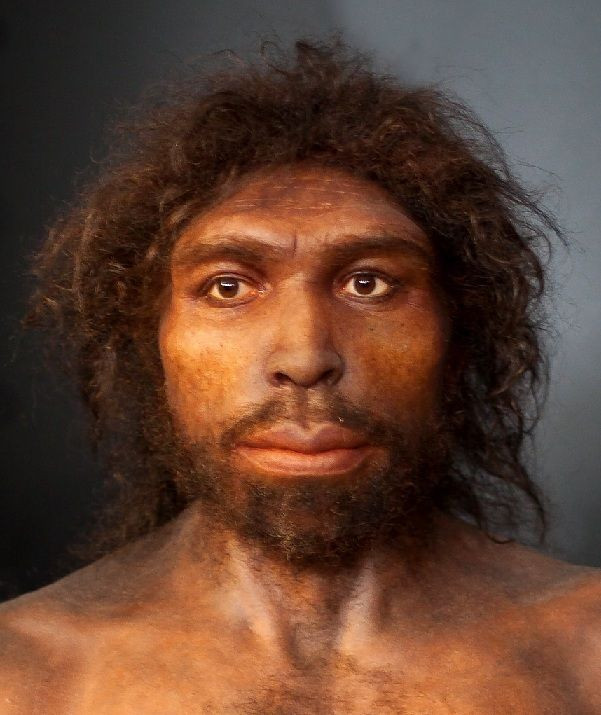 8. Homo rhodesiensis. Thời gian sống: Khoảng 300.000 - 125.000 năm trước. Đặc điểm: Được tìm thấy chủ yếu ở châu Phi, thường được cho là một nhóm chuyển tiếp giữa H. heidelbergensis và người hiện đại. Ảnh: Pinterest.