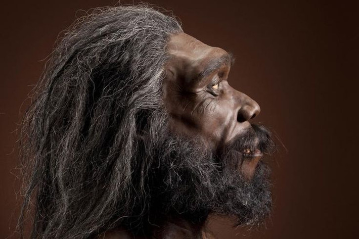 6. Homo heidelbergensis. Thời gian sống: Khoảng 600.000 - 200.000 năm trước. Đặc điểm: Sống ở châu Phi và châu Âu, H. heidelbergensis có não lớn hơn và là tổ tiên của cả Homo neanderthalensis (người Neanderthal) và Homo sapiens. Ảnh: Pinterest.