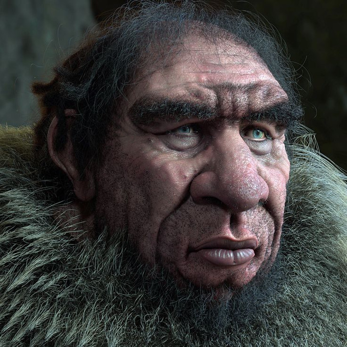 7. Homo neanderthalensis. Thời gian sống: Khoảng 400.000 - 40.000 năm trước. Đặc điểm: Sống chủ yếu ở châu Âu và châu Á, người Neanderthal có thể lực rất tốt và có các công cụ phức tạp, nhưng đã tuyệt chủng do cạnh tranh với H. sapiens hoặc biến đổi khí hậu. Ảnh: Pinterest.
