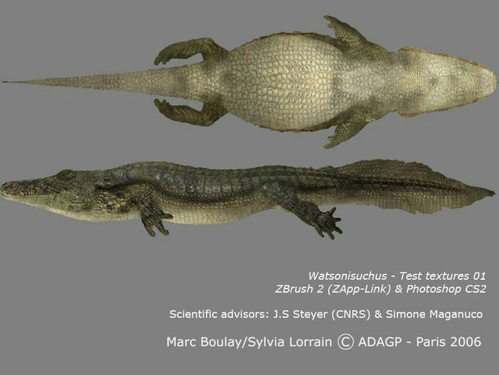 7. Prionosuchus thuộc nhóm temnospondyli – tổ tiên của nhiều lưỡng cư ngày nay. Đây là một nhóm lưỡng cư đa dạng và phổ biến trong kỷ Permi và Trias, được cho là có liên hệ tiến hóa với kỳ nhông. Ảnh: Pinterest.