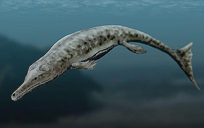 5. Nó là động vật ăn thịt sống dưới nước. Prionosuchus săn mồi bằng cách rình rập và tấn công nhanh như cá sấu, chủ yếu ăn cá và các sinh vật nhỏ hơn trong đầm lầy. Ảnh: Pinterest.