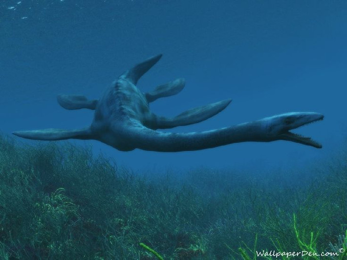 4. Cổ dài nhưng không linh hoạt như tưởng tượng. Dù rất dài, cổ của Elasmosaurus không thể uốn cong quá mức như rắn hay thiên nga – cấu trúc đốt sống khiến chúng chỉ có thể thực hiện chuyển động nhẹ và chậm. Ảnh: Pinterest.