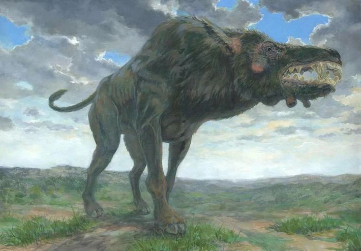 7. Sống vào cuối thế Oligocene và đầu Miocene. Daeodon xuất hiện khoảng 29–19 triệu năm trước tại khu vực Bắc Mỹ, thời kỳ khí hậu khô hạn và cạnh tranh sinh tồn khốc liệt. Ảnh: Pinterest.