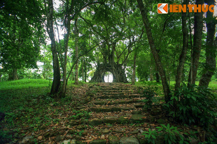 Trong khuôn viên lăng vua Minh Mạng ở Huế có một di tích độc đáo nhưng ít người biết đến, đó là Tả tùng phòng trên núi Tịnh Sơn.