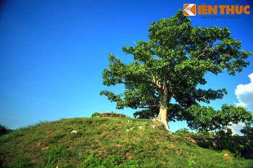 Núi Thọ Yên là một gò đất nhân tạo được đắp ở phía Bắc của khu vườn.