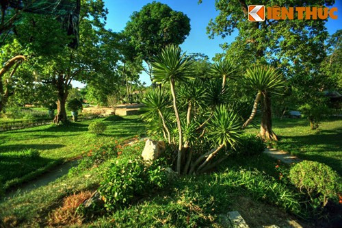 Nhiều cây cảnh của các nghệ nhân địa phương đã được đưa về trồng trong vườn.