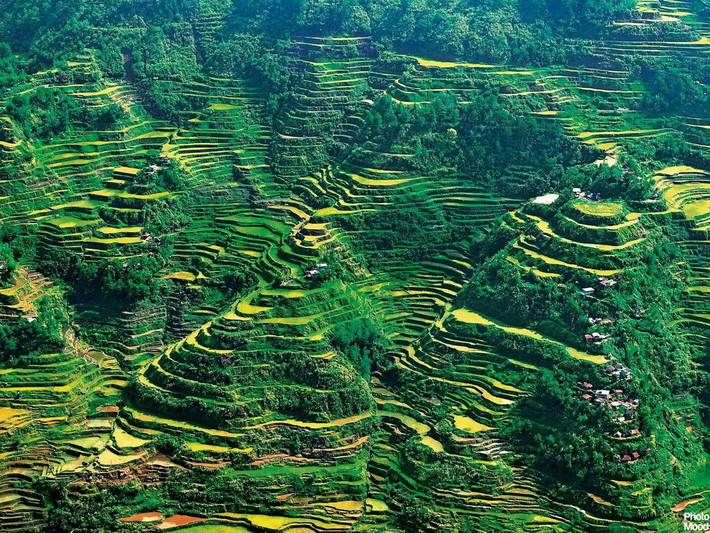 Những thửa ruộng này đã được bộ lạc người Ifugao tạc vào sườn núi từ khoảng 2.000-3.000 năm trước để trồng lúa. Công việc này vẫn kéo dài cho đến nay.