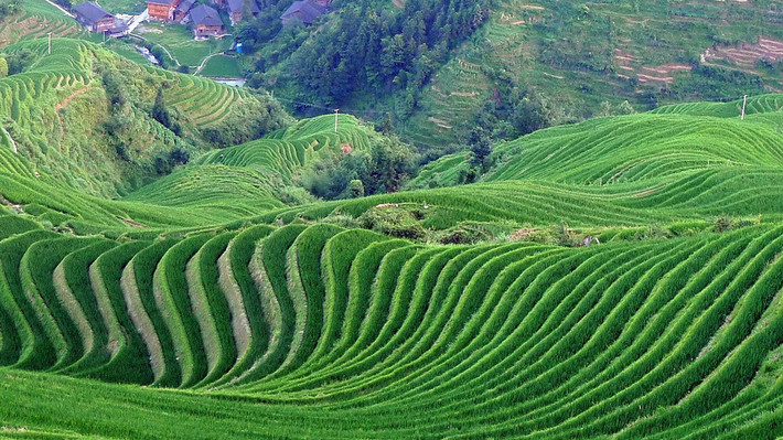 So với các nơi khác, ruộng bậc thang ở Banaue có mức độ quy mô và chiều cao đáng kinh ngạc.