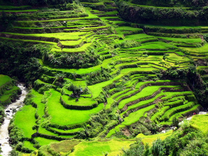 Các thửa ruộng ở nơi đây nằm ở chiều cao trung bình 1.500 m so với mực nước biển và nằm trên một diện tích 10.000 km2.