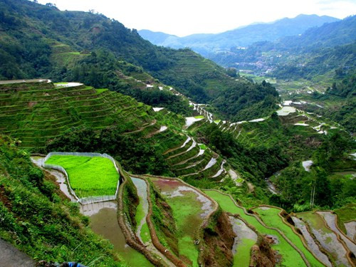 Có thể coi đây là một trong những công trình nông nghiệp cổ xưa lớn nhất của nhân loại.
