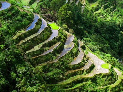Việc canh tác được thực hiện trên hệ thống thủy lợi cổ xưa, với nguồn nước được tạo ra từ những cơn mưa trên đỉnh núi.