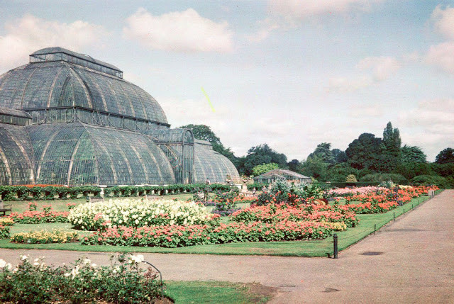 Trong Vườn bách thảo Kew, ngày 3/9/1945. Ảnh: Getty.