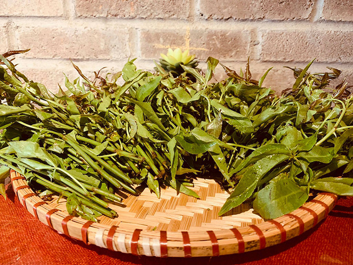 Sau này, nó được sử dụng như một món rau đặc sản ở Hà Giang và được người dân trồng quanh vườn nhà