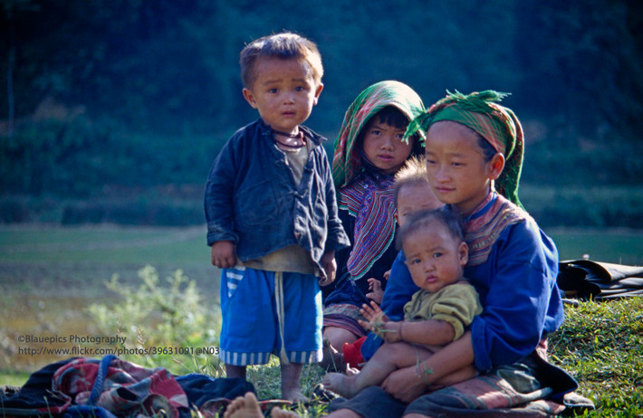 Trẻ em ngồi chơi trên bờ ruộng khi cha mẹ làm việc.