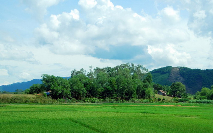 Gió Lào hay gió Tây Nam khô nóng là kiểu thời tiết khắc nghiệt đặc trưng của mùa hè tại một số tỉnh miền Trung Việt Nam. Đây là hiện tượng gió hình thành từ vịnh Thái Lan, sau khi vượt dãy núi Trường Sơn và tràn xuống các tỉnh vùng Bắc Trung Bộ và Trung Trung Bộ thì trở nên khô, nóng. Dạng thời tiết này khiến độ ẩm xuống rất thấp, trong khi nhiệt độ tăng cao, khiến cây cỏ héo khô, ao hồ cạn kiệt, con người và gia súc bị ngột ngạt, rất dễ sinh hoả hoạn. Ảnh: Nguyễn Thanh Sơn.