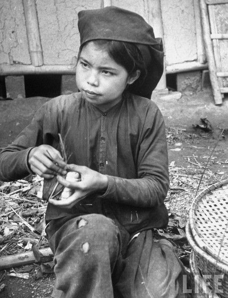 Bé gái bóc củ đậu.