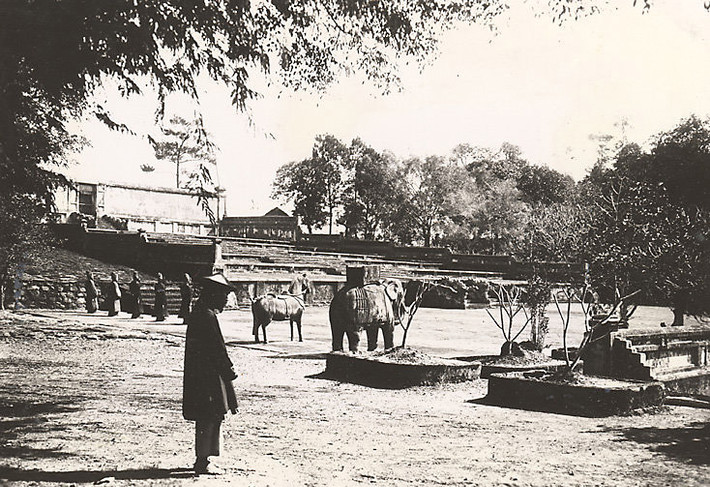 Sân chầu trước lăng vua Gia Long với hàng tượng đá hình voi, ngựa, quan binh.