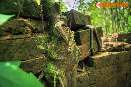 Tòa tháp cổ đã hoàn toàn bị thiên nhiên làm chủ.
