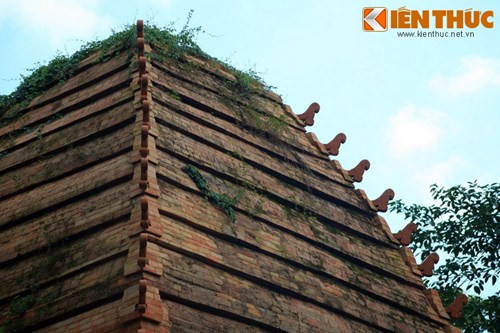 Phần đỉnh của tháp thon vút hình búp hoa, khác biệt với kiến trúc của các tháp Chàm khác ở Trung Bộ, thường có cấu trúc phức tạp hơn.