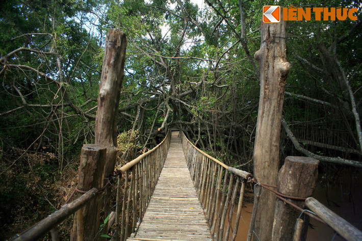 Buôn Đôn của tỉnh Đăk Lăk không chỉ nổi tiếng với huyền thoại về nghề săn bắt và thuần dưỡng voi mà còn lôi cuốn du khách với chiếc cầu treo có 1-0-2 của Việt Nam.