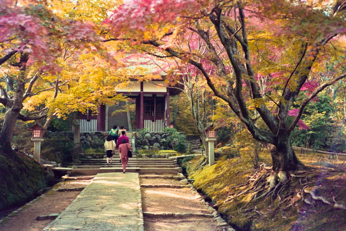 Con đường trong chùa Jojakko-ji (Thường Tịch Quang Tự), 19/11/1990. Ngôi chùa này nằm giữa rừng, nổi tiếng với cảnh lá phong đổi màu vào mùa thu.