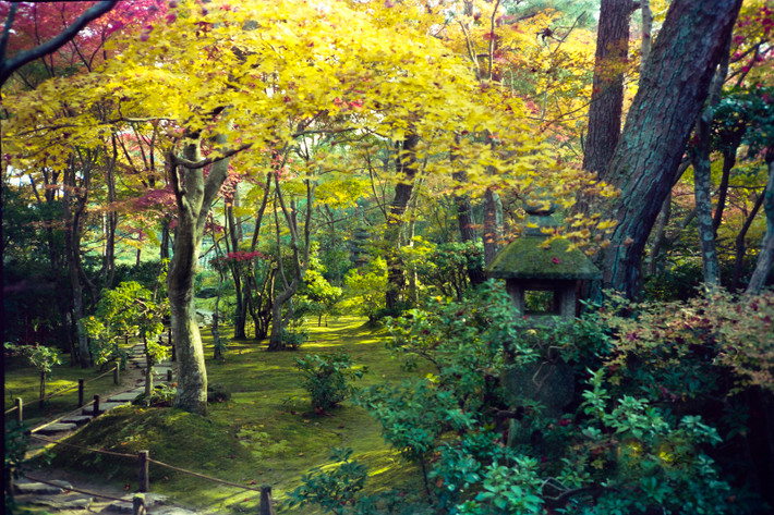 Một góc vườn chùa Jojakko-ji.