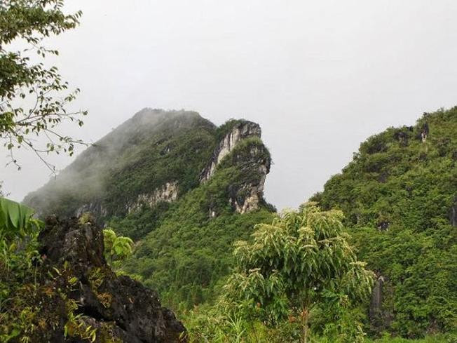 Hàm Rồng cũng là tên của một ngọn núi nổi tiếng nằm ở thị trấn du lịch Sa Pa. Núi mang tên này do mang dáng dấp khá rõ nét của một chiếc đầu rồng đang ngẩng lên trời. Đây một điểm đến được nhiều du khách ưa thích với cảnh sắc thiên nhiên tươi đẹp. Ảnh: VnTrip.