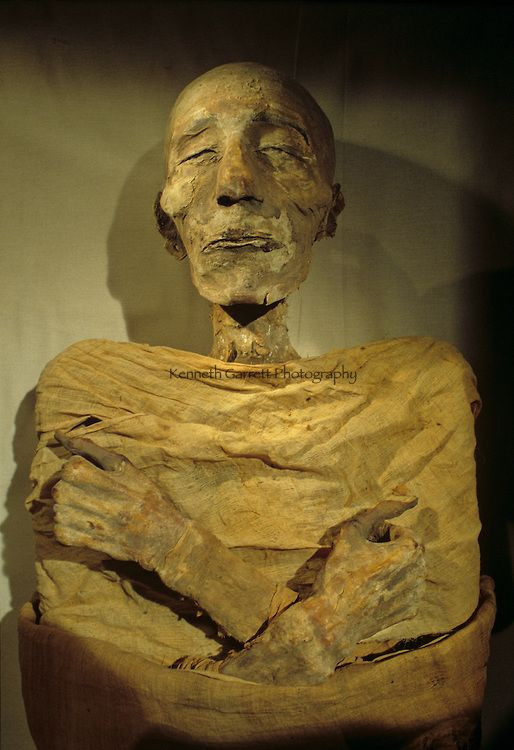 Ngược dòng lịch sử, Ramesses I có tên thật là Pramesse, Ông vốn là một vị Tể tướng tài giỏi của Horemheb, vị pharaon cuối cùng của Vương triều thứ 18.