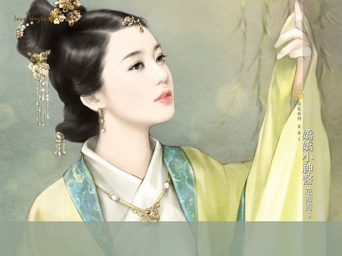 14 năm sau Vi Cố lấy vợ, là con một ông quan lớn trong vùng. Cô gái rất xinh đẹp, nhưng trên cơ thể một vết sẹo lớn, đúng chỗ bé gái năm xưa bị Vi Cố cho người đâm.