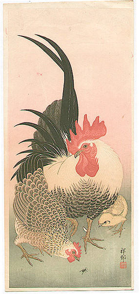 Giống gà Vảy cá.