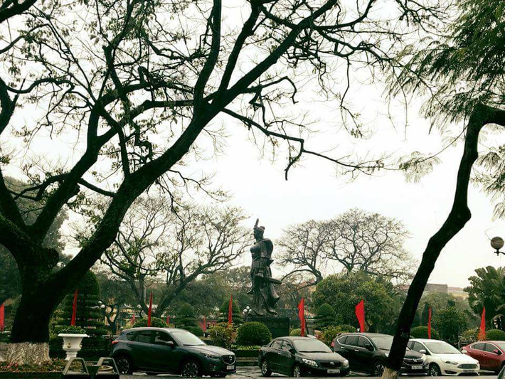 Xe ô tô cắm đầu vào phía trong công viên
