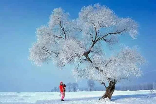 Cảnh sắc mùa đông ở Hàng Châu đẹp tựa tiên cảnh.