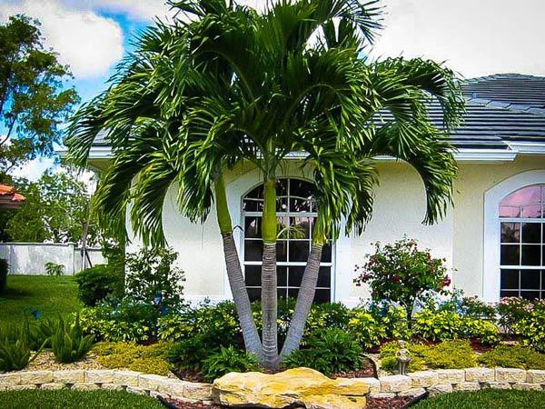 Cây xanh trước nhà. Xét về mặt thẩm mỹ thì cây xanh mang đến vẻ đẹp cho không gian ngoại thất của gia đình bạn. Nó giúp tạo điểm nhấn vô cùng bắt mắt cho căn nhà ngay từ cái nhìn đầu tiên.