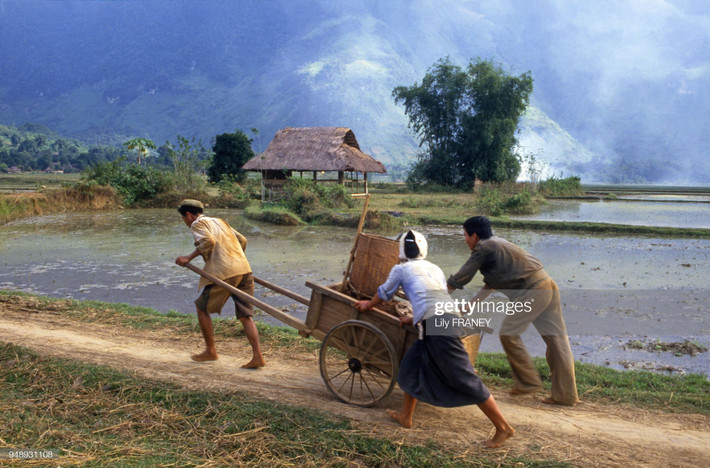 Hai người đàn ông và một phụ nữ đẩy xe chở đất ở Mai Châu.