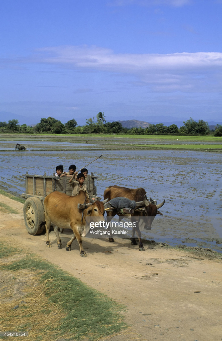 Trẻ em trên một chiếc xe bò kéo gần Phan Rang - Tháp Chàm.